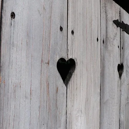 Cifrovana Drevenicka ロッジ *