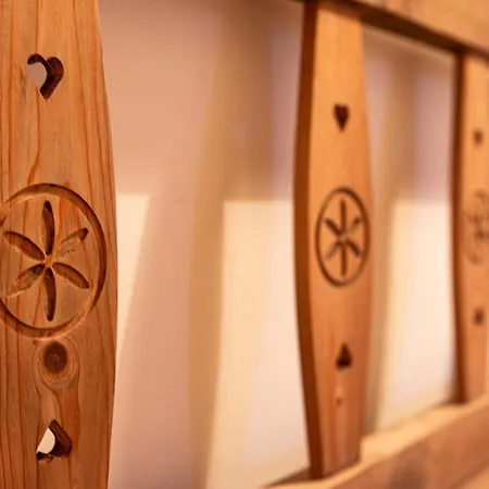 אכסניה Cifrovana Drevenicka *