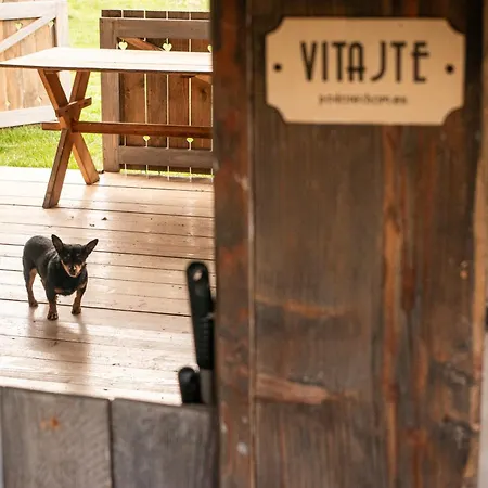 Cifrovana Drevenicka