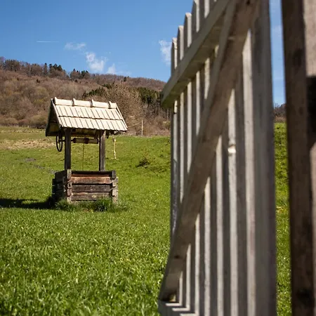 Cifrovana Drevenicka *