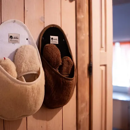 Cifrovana Drevenicka