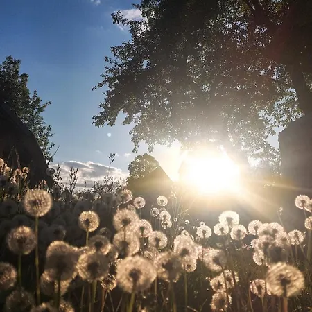 ロッジ Cifrovana Drevenicka デットバ