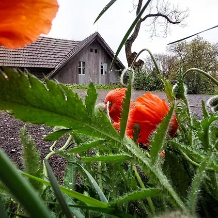 Cifrovana Drevenicka *