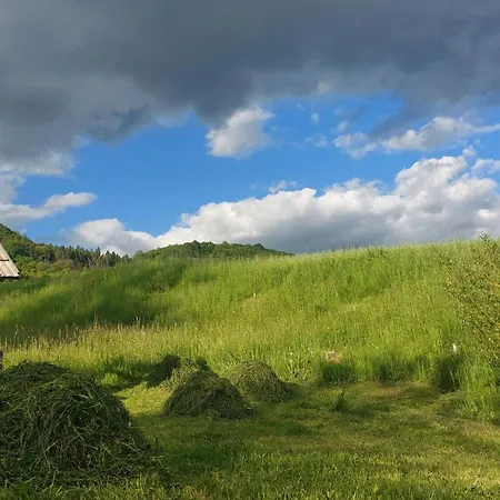 Cifrovana Drevenicka Detva