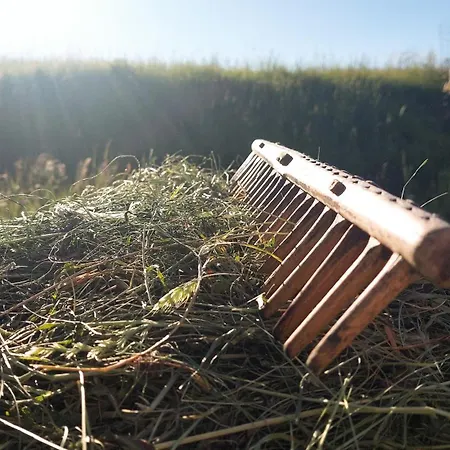 אכסניה Cifrovana Drevenicka דטבה