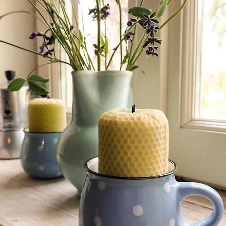 Cifrovana Drevenicka