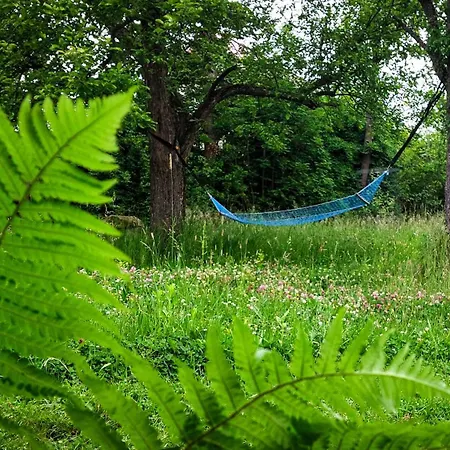 ロッジ Cifrovana Drevenicka *