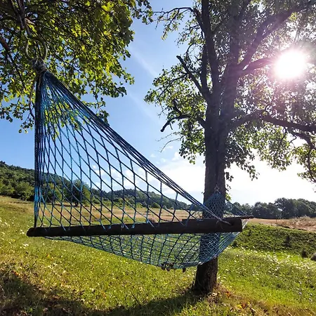 Cifrovana Drevenicka ロッジ デットバ