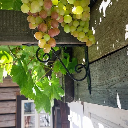 Cifrovana Drevenicka דטבה