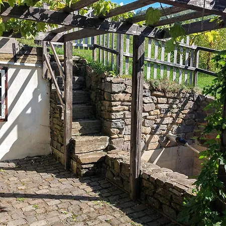 Cifrovana Drevenicka