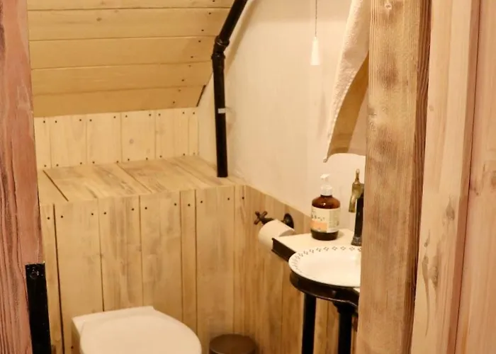 Cifrovana Drevenicka Detva