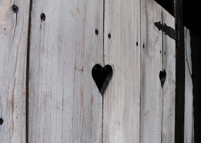 Cifrovana Drevenicka Hytte *