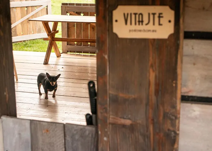 Cifrovana Drevenicka