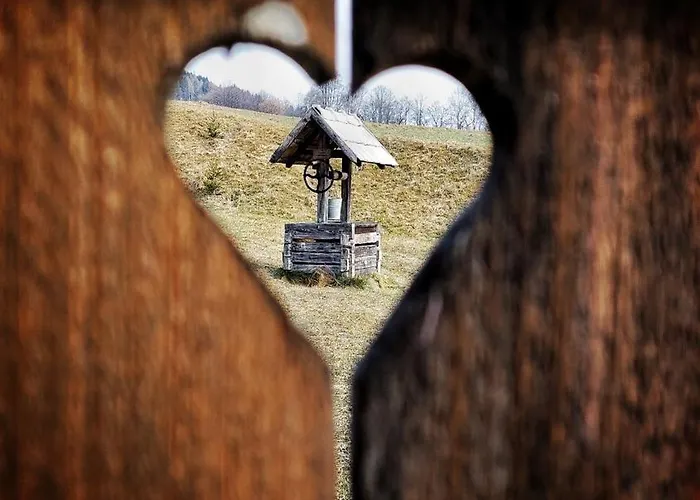 Cifrovana Drevenicka