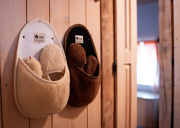 Cifrovana Drevenicka