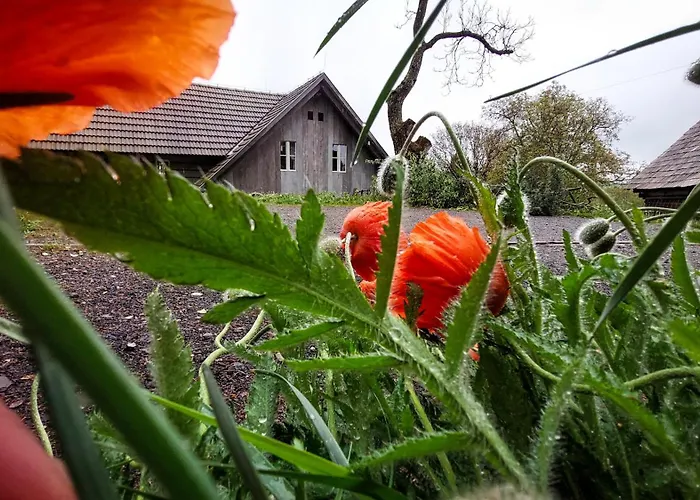 Cifrovana Drevenicka *