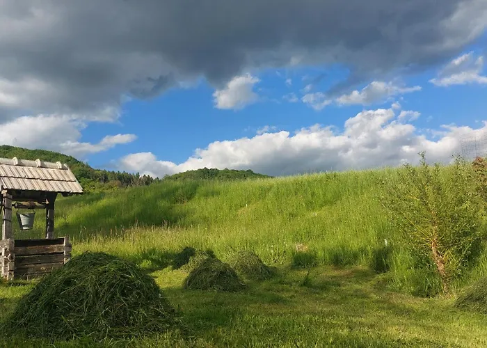 Cifrovana Drevenicka Detva