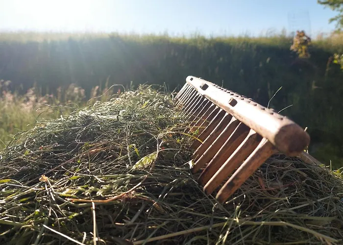 Hytte Cifrovana Drevenicka Detva