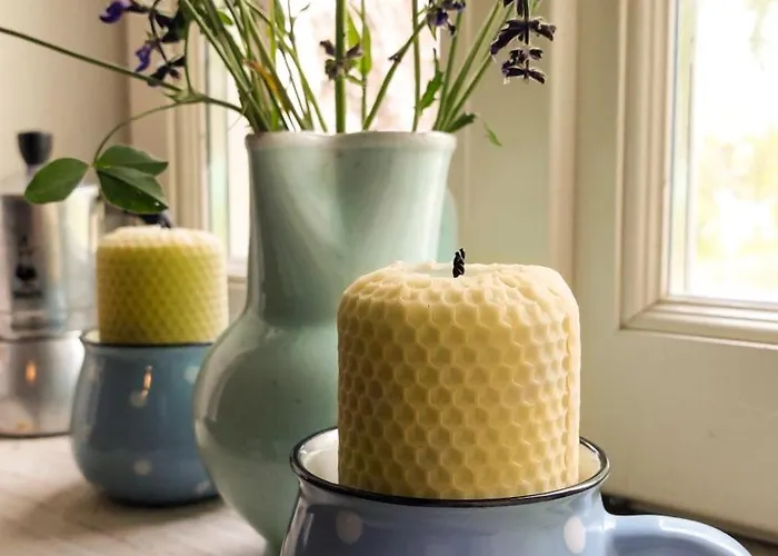 Cifrovana Drevenicka