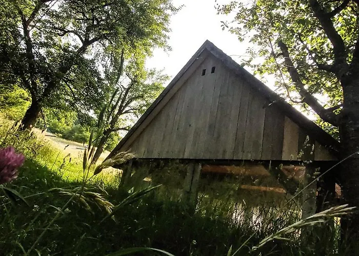 Hytte Cifrovana Drevenicka *