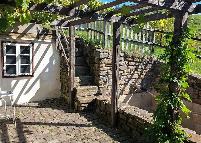 Cifrovana Drevenicka